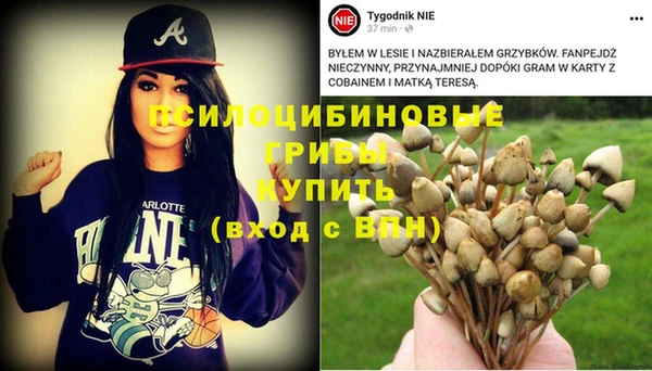 PSILOCYBIN Верхнеуральск